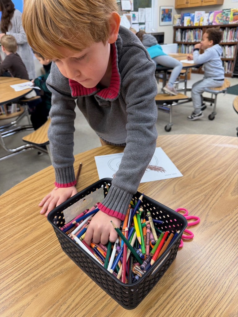 A student reaches into a basket of colored pencils while working on an owl coloring sheet.