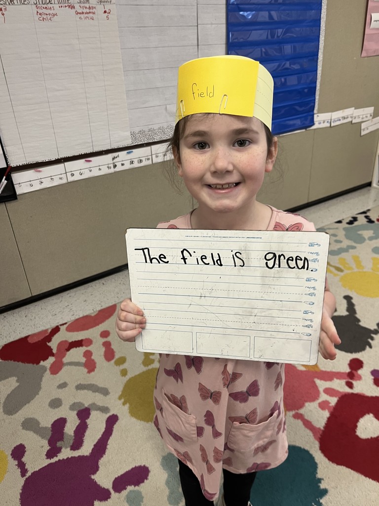 (Girl with 'Field' crown): A young elementary school girl wearing a pink butterfly-patterned dress and a yellow paper crown with the word "field" written on it. She is smiling and holding a dry-erase board that says, "The field is green."