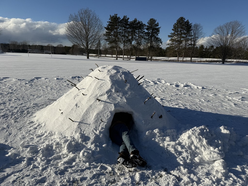 An igloo-shaped snow shelter on a snowy field with sticks poking out of the exterior. A person is crawling inside through the small entrance. Trees and a clear blue sky are visible in the background.