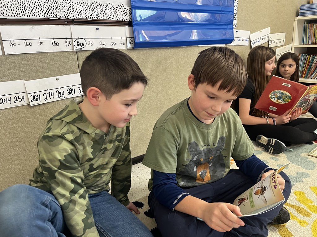 Two boys sit on a rug in the foreground, deeply engaged in a book about insects; the boy on the right holds the book while the boy in the camouflage hoodie looks on. In the background, two girls from a previous photo are also seated on the rug, reading a different red-covered book together. The wall behind them is decorated with student-made number lines and educational charts.