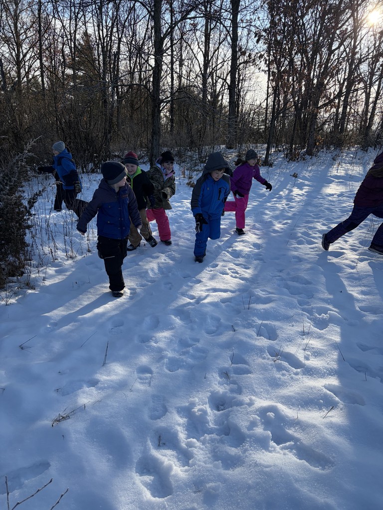 	A group of children in colorful winter gear run and play through a snowy field with bare trees and bright sunlight in the background. 
