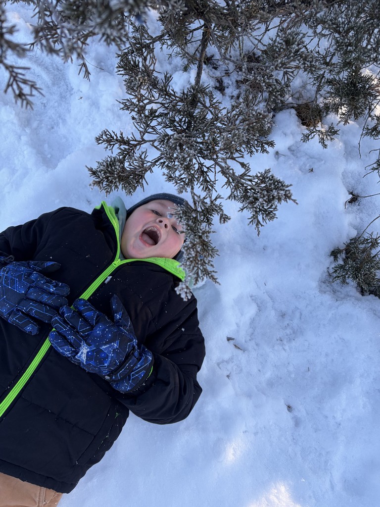 A boy in a black and neon green jacket lies on his back in the snow with his mouth wide open, looking up toward the overhanging pine branches.