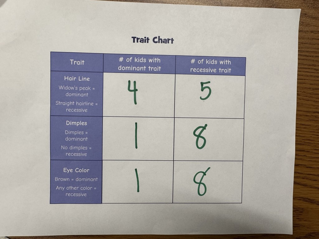 A "Trait Chart" table showing handwritten data for nine children across three categories.  Hair Line: 4 kids have a dominant Widow's peak; 5 kids have a recessive straight hairline.  Dimples: 1 kid has dominant dimples; 8 kids have no dimples.  Eye Color: 1 kid has dominant brown eyes; 8 kids have any other color.  IMG_0855.png Nine elementary-age students pose in a classroom around a large, hand-made graph on the floor. The graph uses red tape for axes and orange sticky notes to represent data points. The vertical Y-axis is labeled with numbers 0 through 4, and the horizontal X-axis is labeled "birthday month." The students are sitting and reclining around the graph, looking toward the camera.  
