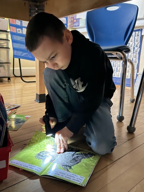 Student kneels on the floor reading a picture book by flashlight under classroom tables.