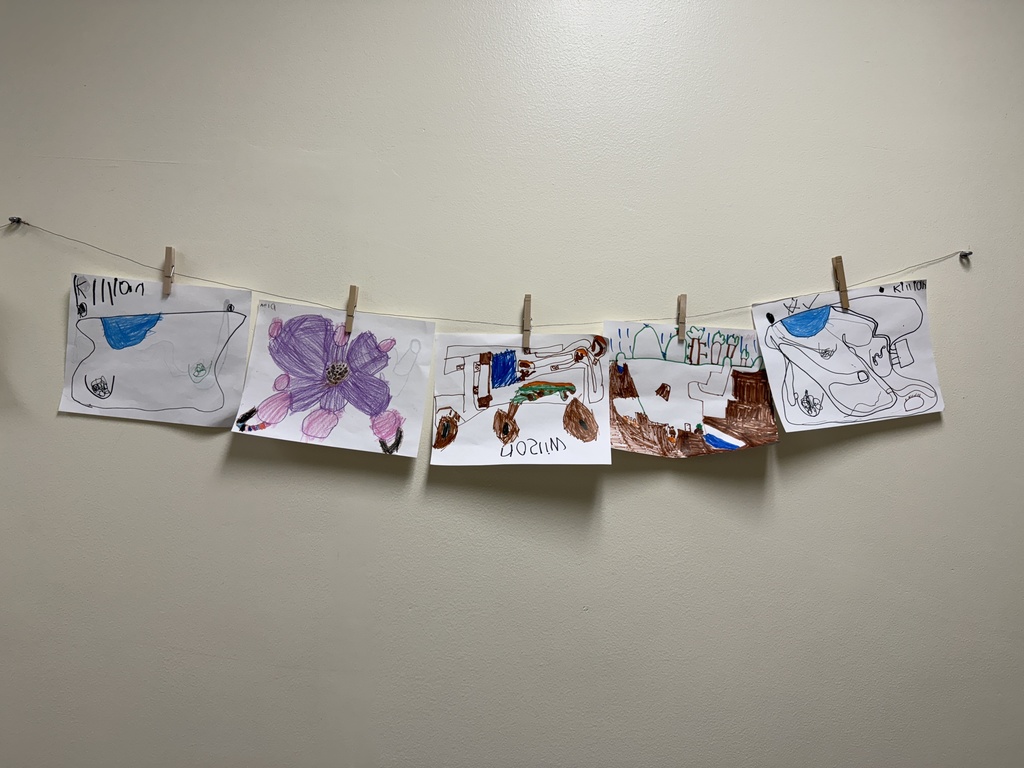 Row of several student burrow drawings clipped to a string on a wall, each showing different underground tunnel and chamber designs.