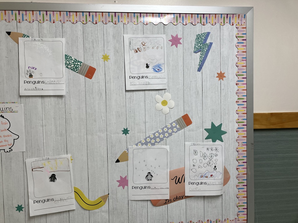 : Classroom Bulletin Board A wide shot and a medium shot of a classroom bulletin board with a light wood-grain background and a pencil-themed border. The board displays several student worksheets about penguins. Decorative paper cutouts of pencils, stars, and flowers are scattered between the student work. The penguin fact anchor chart from the first photo is pinned to the center-right of the board. 