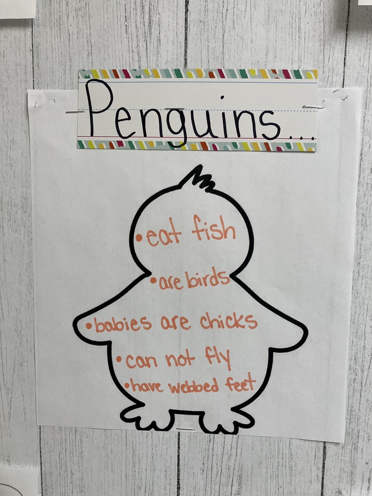  Penguin Fact Sheet A classroom anchor chart shaped like a large, black-outlined penguin. The title "Penguins..." is written on a colorful striped border at the top. Inside the penguin silhouette, five facts are written in orange ink:  eat fish  are birds  babies are chicks  can not fly  have webbed feet  IMG_3073 & IMG_3074: Classroom Bulletin Board A wide shot and a medium shot of a classroom bulletin board with a light wood-grain background and a pencil-themed border. The board displays several student worksheets about penguins. Decorative paper cutouts of pencils, stars, and flowers are scattered between the student work. The penguin fact anchor chart from the first photo is pinned to the center-right of the board