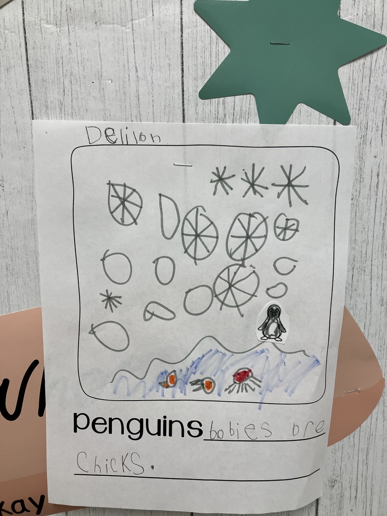Student Work A close-up of a student's It features a drawing of large, circular snowflakes and a small penguin sticker standing on blue-colored ice. Small orange and red fish are drawn in the water. Below the drawing, the student has completed the sentence: "penguins babies are chicks."