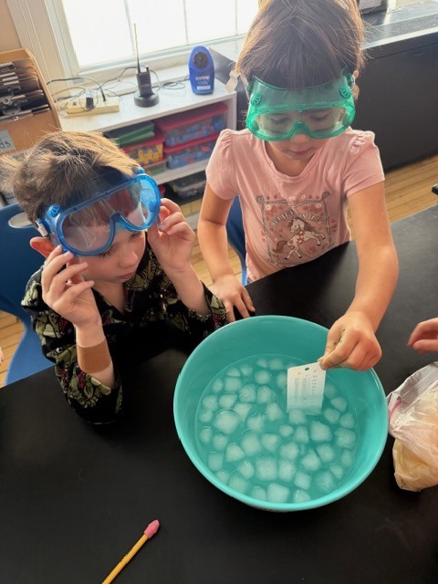 Two students wearing goggles look into a teal bowl of ice water while one holds a test strip above the surface.