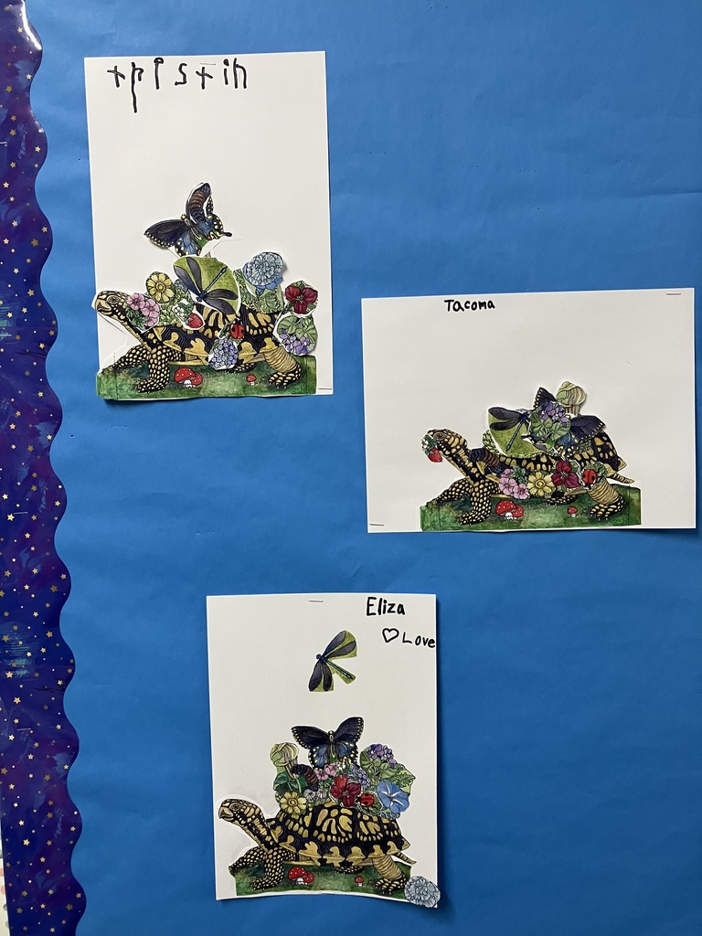 The left side of the board featuring three collages. A turtle has a tall stack of flowers; another turtle is carrying a smaller, compact garden; another turtle has a dragonfly hovering high above its floral shell