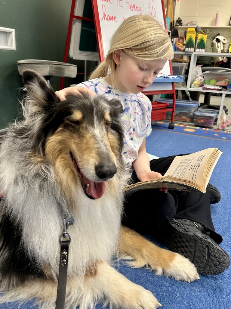 Young student reading from a chapter book while petting a relaxed collie therapy dog lying beside them.