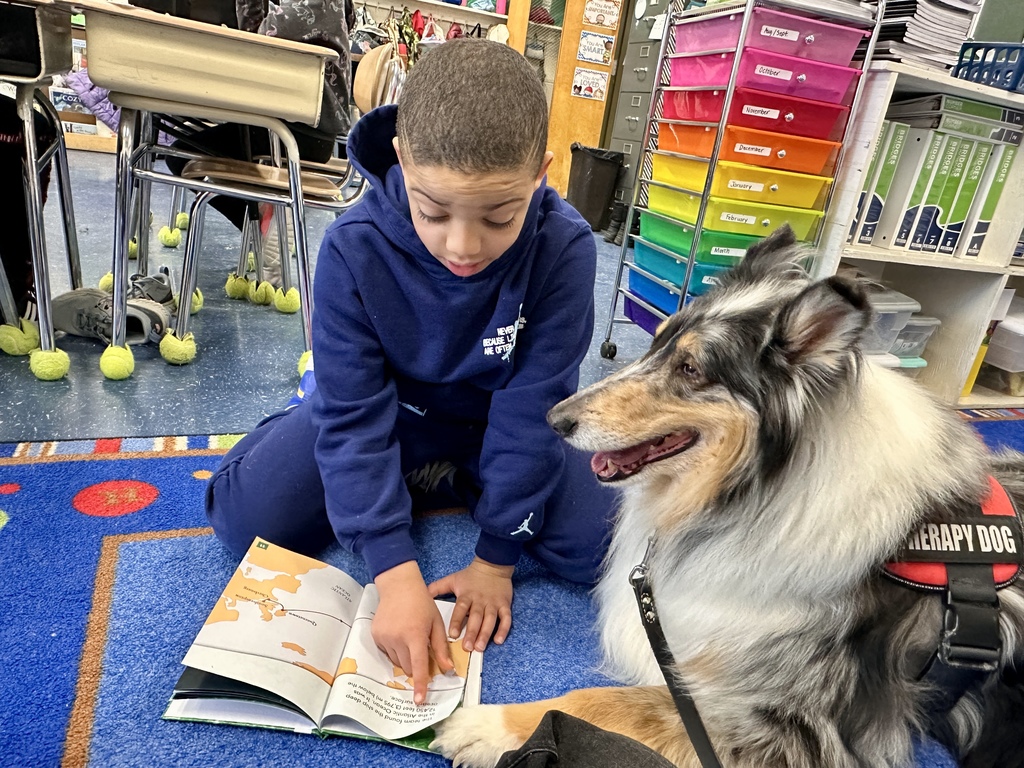 Student sitting on a rug reading and pointing to a page in an open book while a collie therapy dog lies next to them listening.