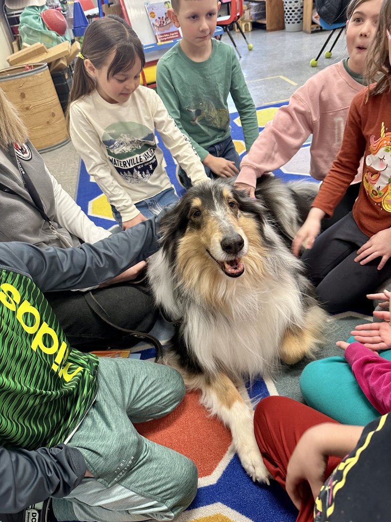 Close group of elementary students sitting around a collie therapy dog on a colorful rug, petting the dog while it looks toward the camera.