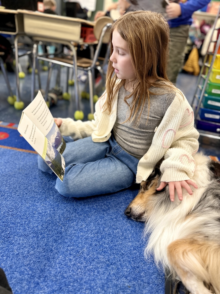 Young student sitting cross-legged on a blue classroom rug reading a book aloud while resting a hand on a collie therapy dog lying beside them.