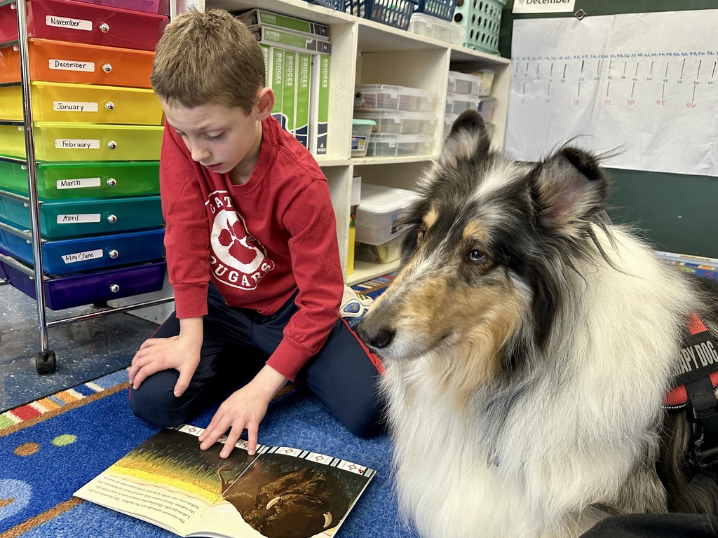Student kneeling on a classroom rug reading from a picture book beside a collie therapy dog wearing a vest, with colorful storage drawers in the background.