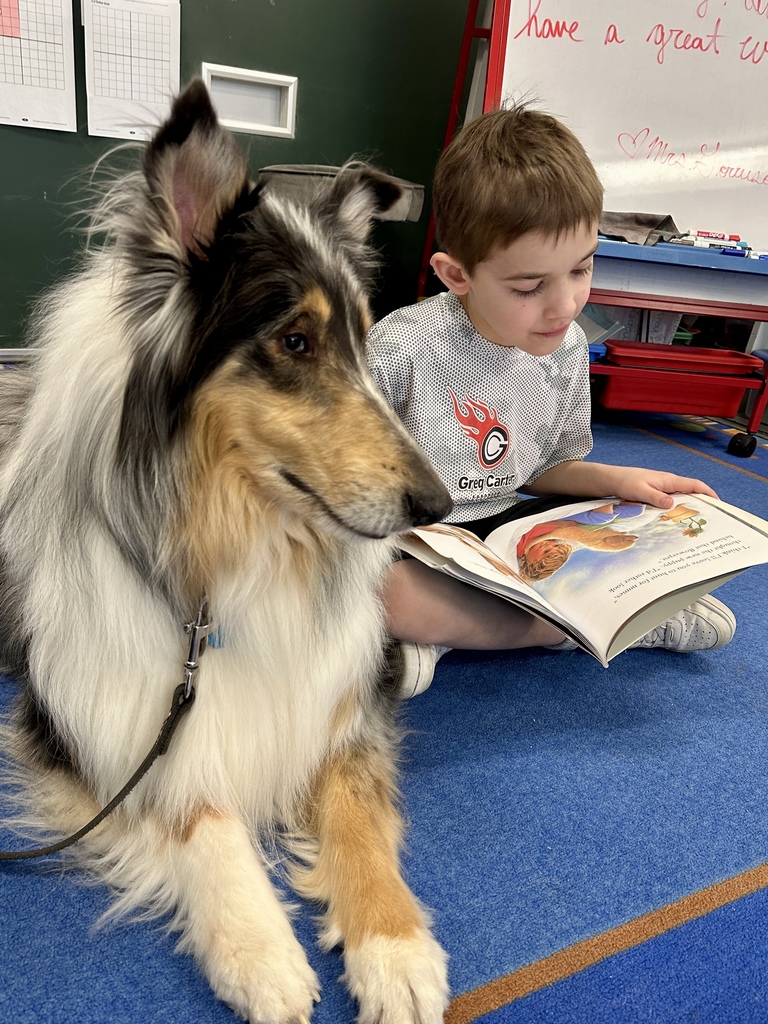 Student seated on a rug reading a large illustrated book next to a collie therapy dog in the foreground.