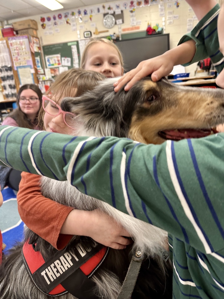 Several elementary students gathered closely around a collie therapy dog, gently petting its head and shoulders in a classroom.