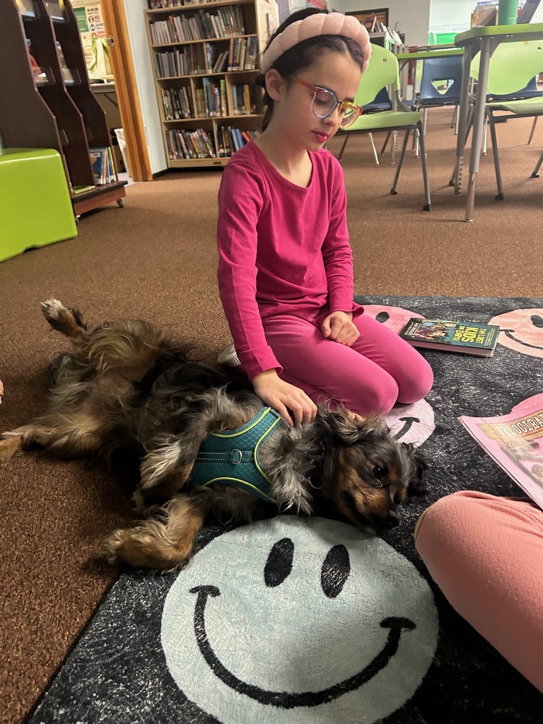 A student pets a small therapy dog lying on a rug while reading in the school library.