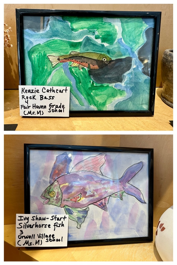 Two framed student drawings of fish displayed on a wooden shelf; the top artwork shows a Rock Bass and the bottom a Silverhorse Fish.