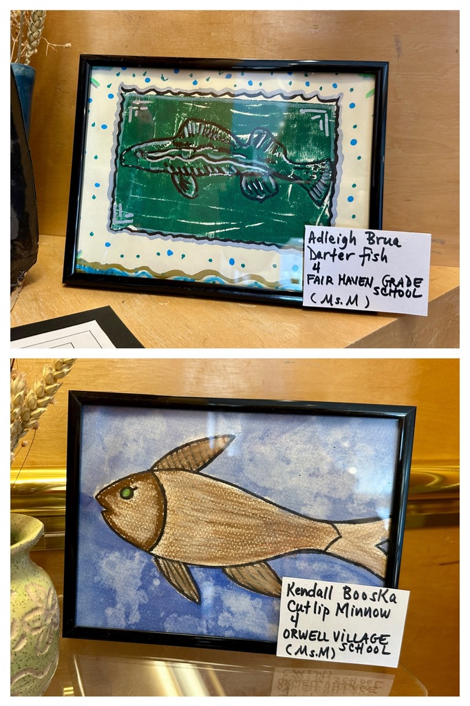 Two framed student drawings of fish on a wooden shelf; the top is a stylized Darter Fish and the bottom is a textured Cutlip Minnow.