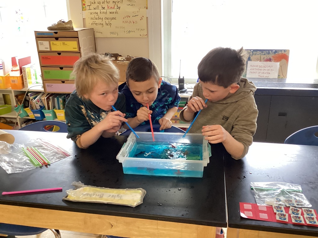 Three boys blow bubbles into a tub of blue water with straws on a classroom table.