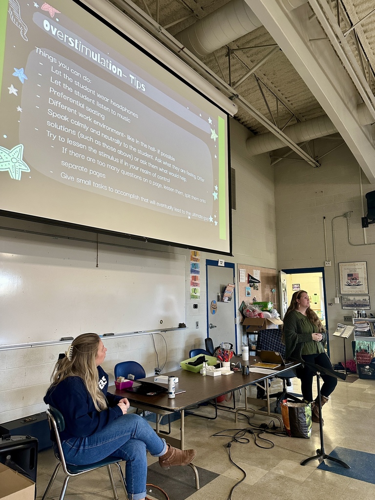 An instructor stands at the front of a classroom presenting a slide titled “Overstimulation – Tips” while educators listen and take notes during a professional development session.