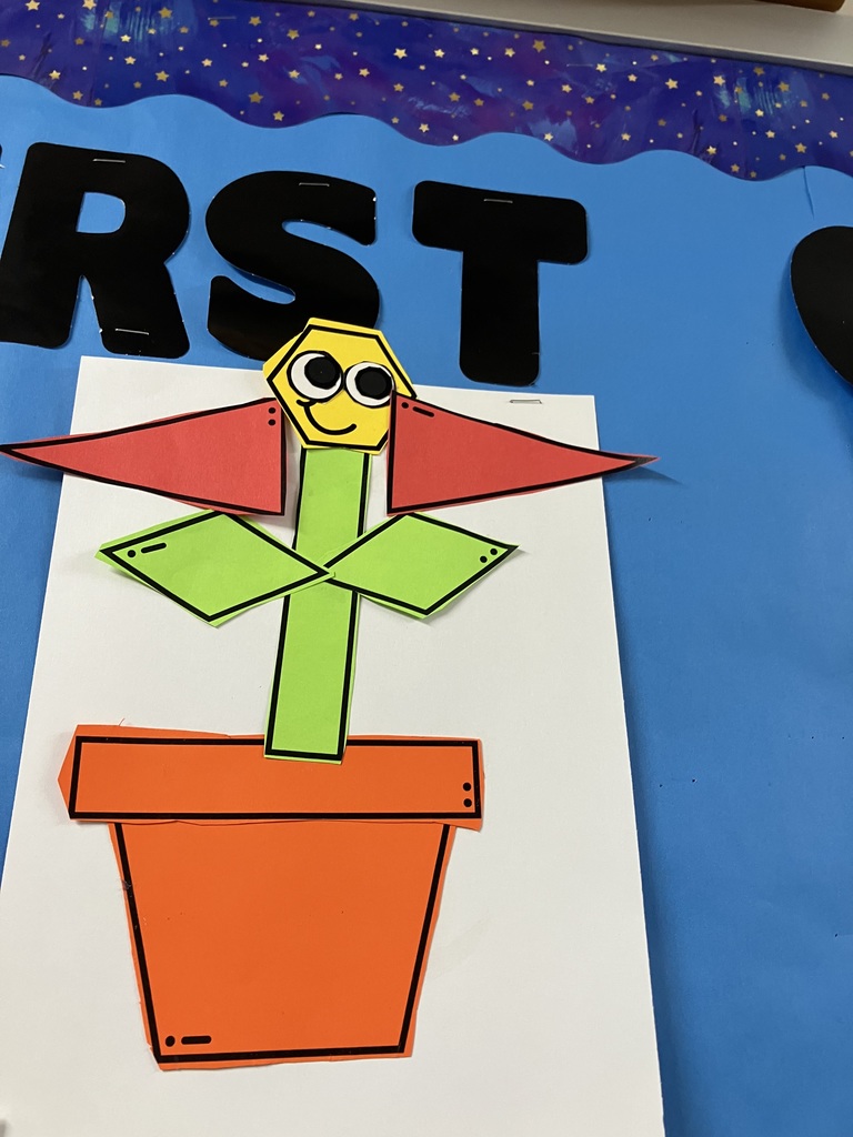 A close-up of a different flower featuring many overlapping pink triangle petals that create a starburst effect. The flower sits in a paper orange pot. The accompanying worksheet shows a bar graph with a high count for triangles (8) and smaller bars for circles, rectangles, and rhombuses.