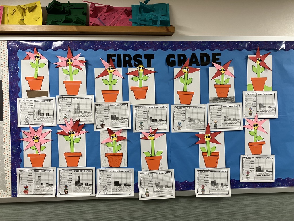 These alt-text descriptions focus on the visual content of the bulletin board and the student work, providing clear context for the "Shape Flower" first-grade math and art project. Overall Display IMG_3142: A wide shot of a classroom bulletin board labeled "FIRST GRADE" against a blue background. The board displays several student-made paper flowers in orange pots. Each flower is constructed from various geometric shapes (triangles, hexagons, rhombuses, and rectangles). Below each flower is a completed "Shape Flower Graph" worksheet where students have tallied and graphed the number of shapes used.