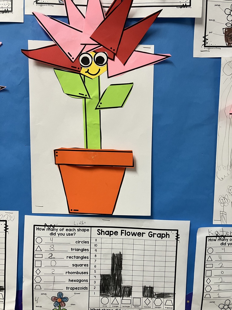 A close-up of a different flower featuring many overlapping pink triangle petals that create a starburst effect. The flower sits in a paper orange pot. The accompanying worksheet shows a bar graph with a high count for triangles (8) and smaller bars for circles, rectangles, and rhombuses.
