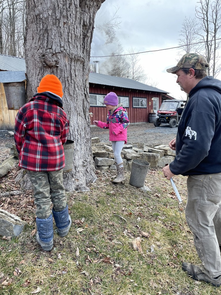 A man in a camouflage hat stands to the right, supervising two children near a large tree. One child, wearing an orange hat and a red plaid jacket, stands near a metal sap bucket hanging from the trunk. The second child, in a purple hat and pink jacket, stands on a small stone wall nearby. White smoke rises from a building in the background.
