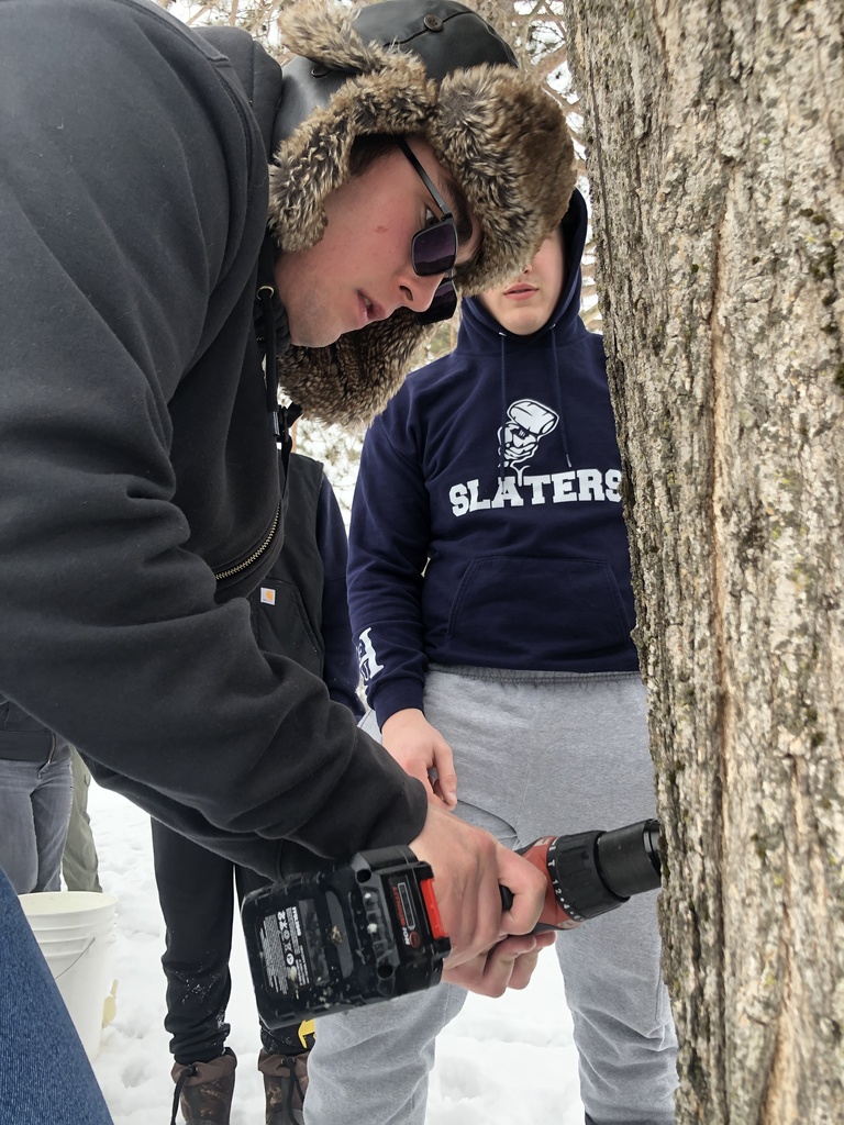 Close-up of a student using a power drill to tap a tree while others watch during a maple sugaring activity.