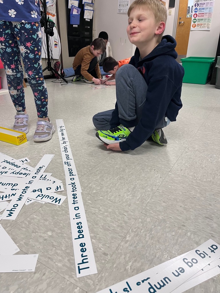 A young boy kneels on a classroom floor, smiling as he looks at a series of long sentence strips laid out. One strip clearly reads, "Three bees in a tree took a pear off your chair, by her new big rig."