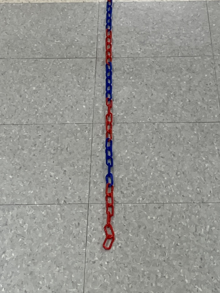  A top-down, vertical shot of a long chain made of interlocking red and blue plastic links lying straight on a speckled grey tiled floor. The chain alternates colors in small sections. 