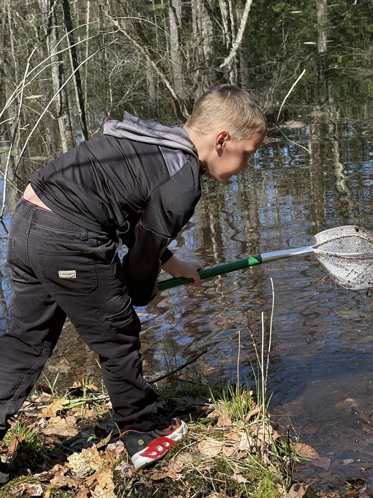 A young student leans over the edge of a pond using a net to scoop water, surrounded by trees and reflections on the water’s surface.