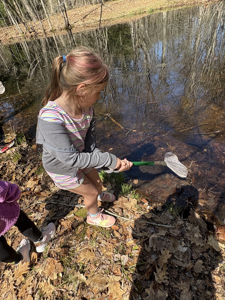 A young student leans over the edge of a pond using a net to scoop water, surrounded by trees and reflections on the water’s surface.