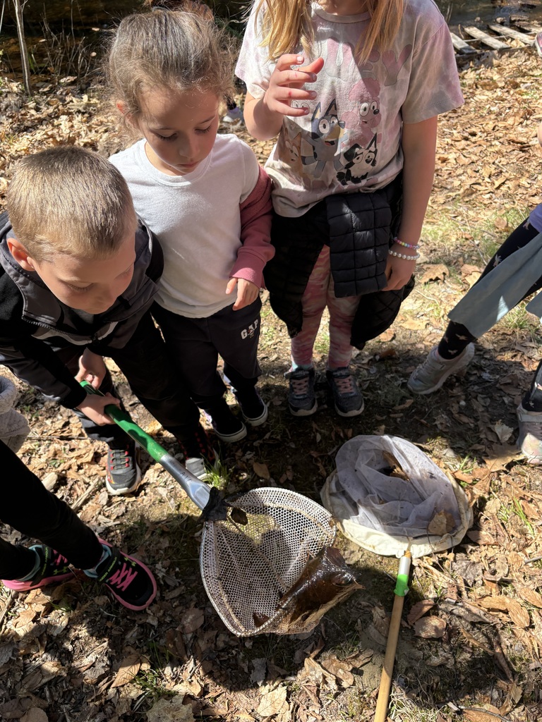 Several students stand closely together, looking down into a net as they examine something they have just caught.