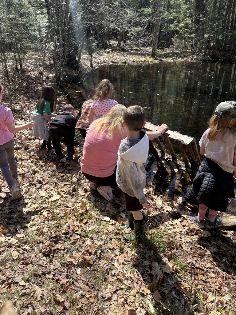A group of young students gathers along the edge of a wooded pond, looking into the water and exploring together.