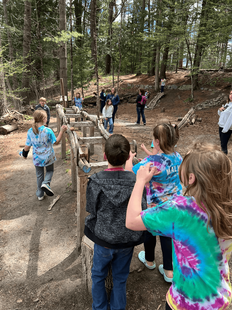 Students line up along a wooden outdoor activity exhibit in a forested play area while participating in a hands-on science challenge.