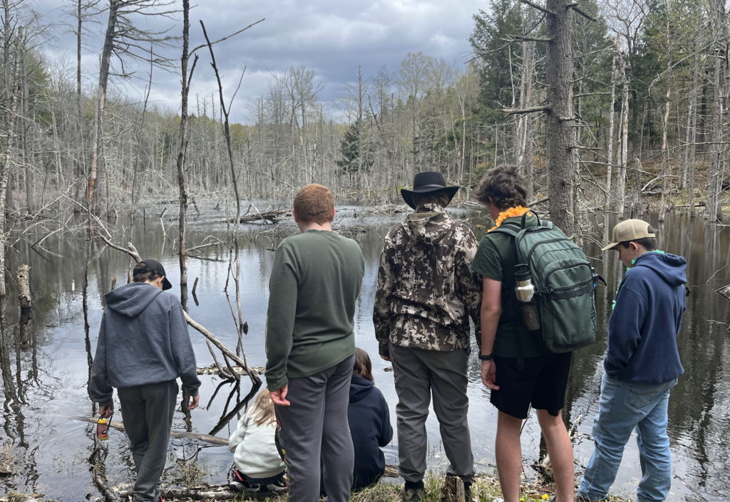 Several students stand at the edge of a wetland area surrounded by trees and fallen branches while observing the water and natural environment.