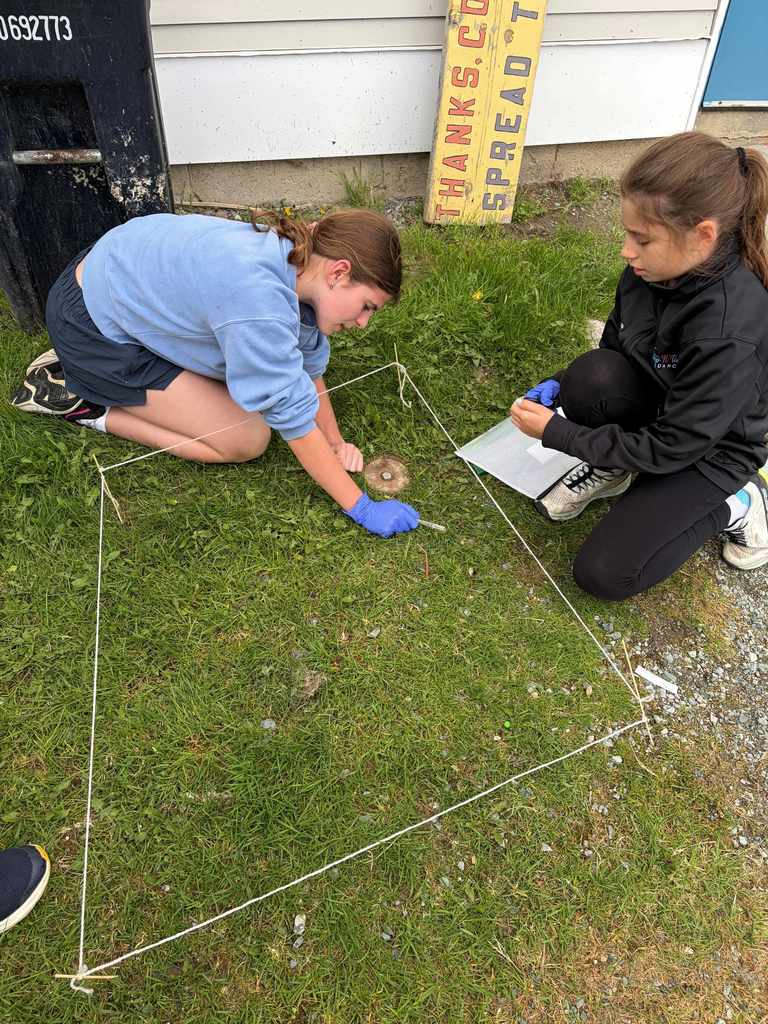 : Two girls investigate a metal utility cap in the grass within a white string boundary. One girl reaches toward the center while the other sits nearby with research materials and a small mesh bag.  