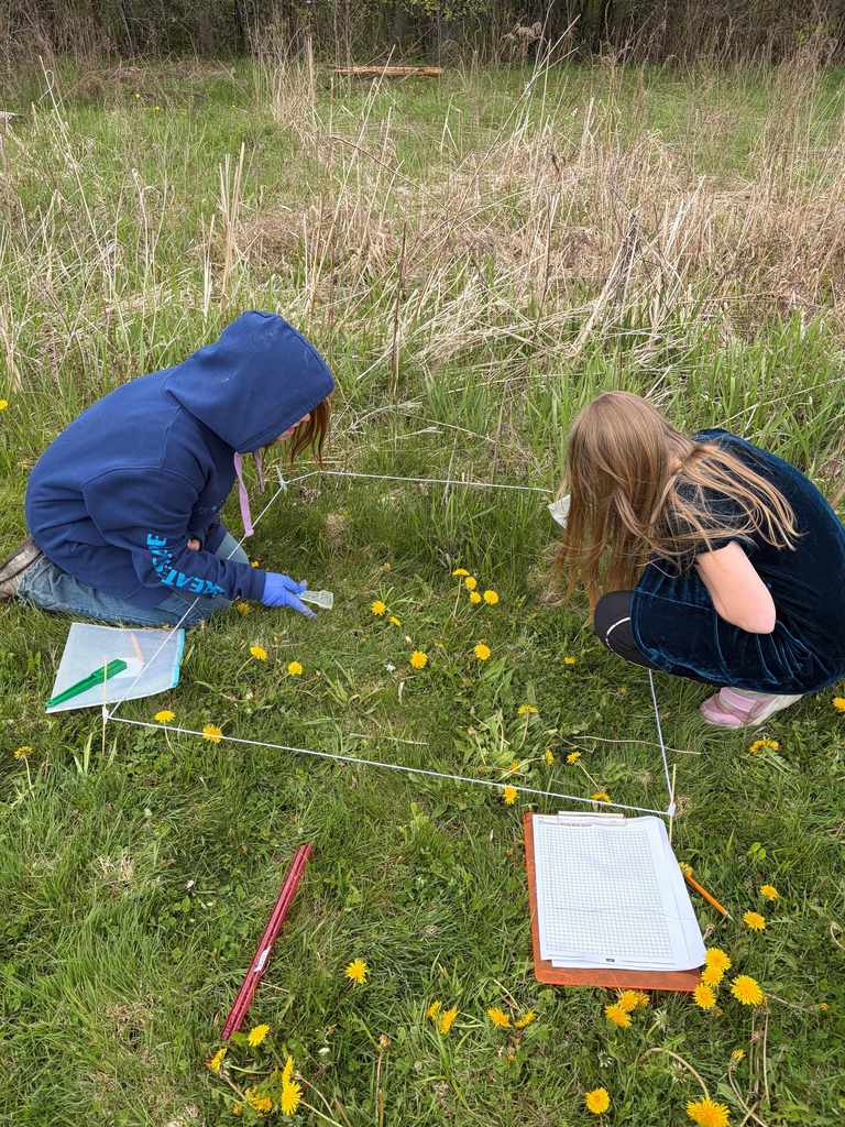 Two children conduct field research within a square string perimeter. One child in a blue hoodie kneels on the left, while another sits on the right, writing data on a grid-lined worksheet. 