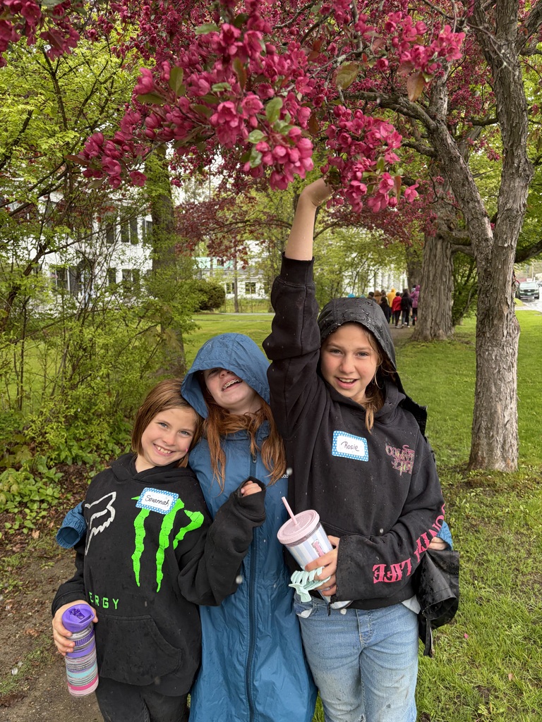 Three friends pose together under the vibrant pink blossoms of a crabapple tree. One girl is reaching up to touch the flowers while holding a striped tumbler.
