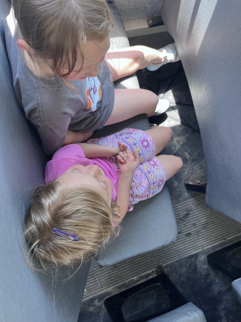 High-angle shot of two young girls sitting together on a gray school bus seat. The girl in the foreground wears a pink shirt, a patterned skirt, and a purple hair clip, looking down at her hands. The girl next to her wears a gray t-shirt. Sunlight streams in from the side, illuminating the bus floor.