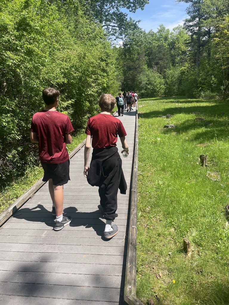 Students walk along a wooden boardwalk trail surrounded by green trees and grass while exploring the Mount Independence grounds.