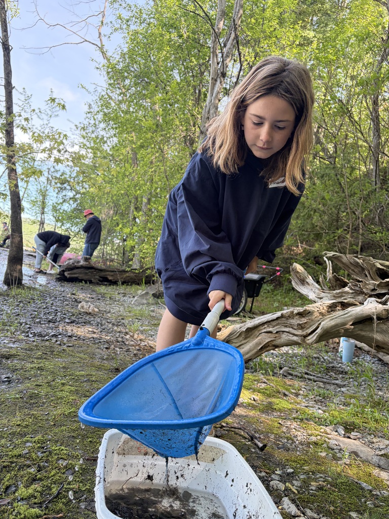  A young girl with long brown hair, wearing a oversized dark blue pullover, leans forward to empty a blue dip net into a white plastic bin on a mossy shoreline. Droplets of water fall from the net. In the background, trees line the shore, and other people can be seen further down the bank investigating the water. 