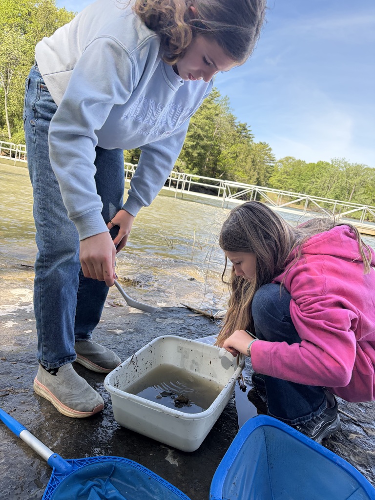 A high-angle shot of two girls on a rocky shoreline next to a body of water, examining the contents of a white plastic bin filled with murky water. The girl on the left stands in a light blue sweatshirt and blue jeans, using a silver spoon to scoop something out. The girl on the right, wearing a bright pink hooded sweatshirt, squats down closely to look inside. Two blue dip nets lie on the wet rock in the foreground, and a floating white dock is visible in the background against a line of green trees. 