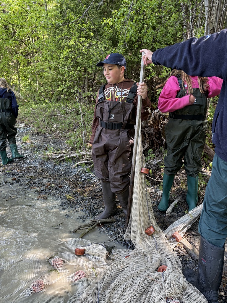  A group of children wearing chest waders stand along a muddy, shaded shoreline, working together to lift and unroll a long seine fishing net equipped with orange floats. The murky water ripples in the foreground, and a sunlit lake and distant hills are visible in the background.  