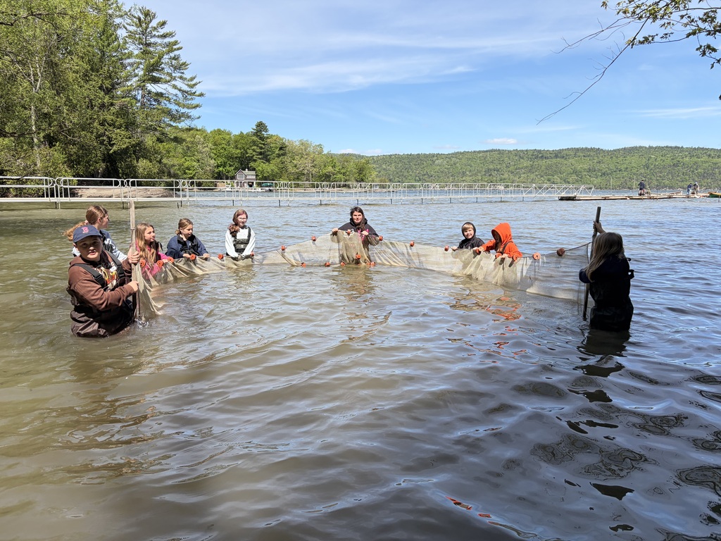  A wide, bright landscape shot of a large group of children wading waist-deep in a calm river or lake on a sunny day. They are arranged in a wide semi-circle, working together to hold up a long, mesh seine fishing net floating on the surface with orange buoys. In the background, a white metal floating dock stretches across the water, backed by a lush green forest and hills under a clear blue sky.  