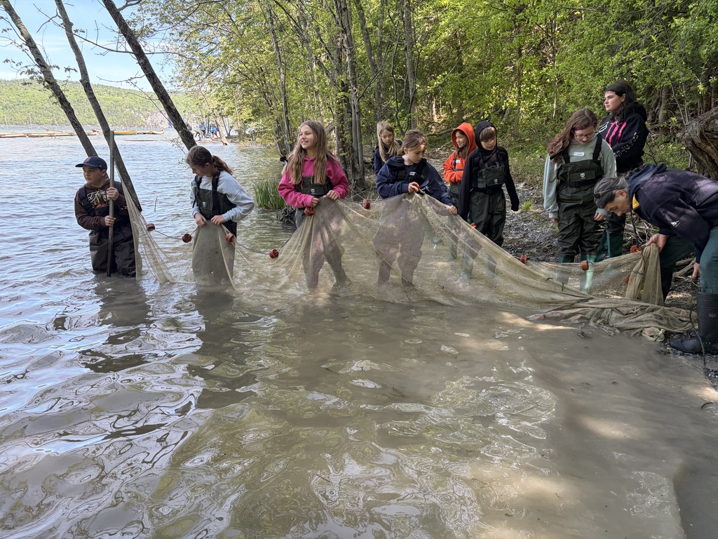  A group of children in chest waders stand waist-deep in a wide lake on a bright, sunny day, forming a wide semi-circle to hold up a large seine fishing net. The far shore features a line of green trees, a wooden dock structure, and a clear blue sky.