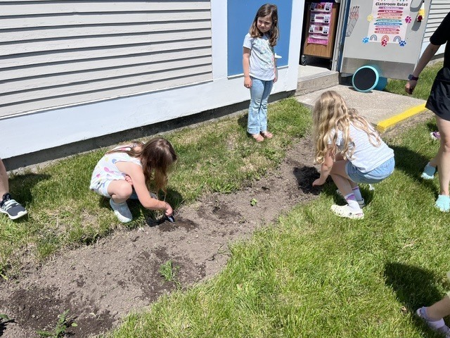 Two young girls with long hair crouch down to work in a narrow dirt garden bed situated between a building's white siding and a green lawn. Another girl stands nearby on the grass, watching them. A school door with classroom signs is visible in the background.  